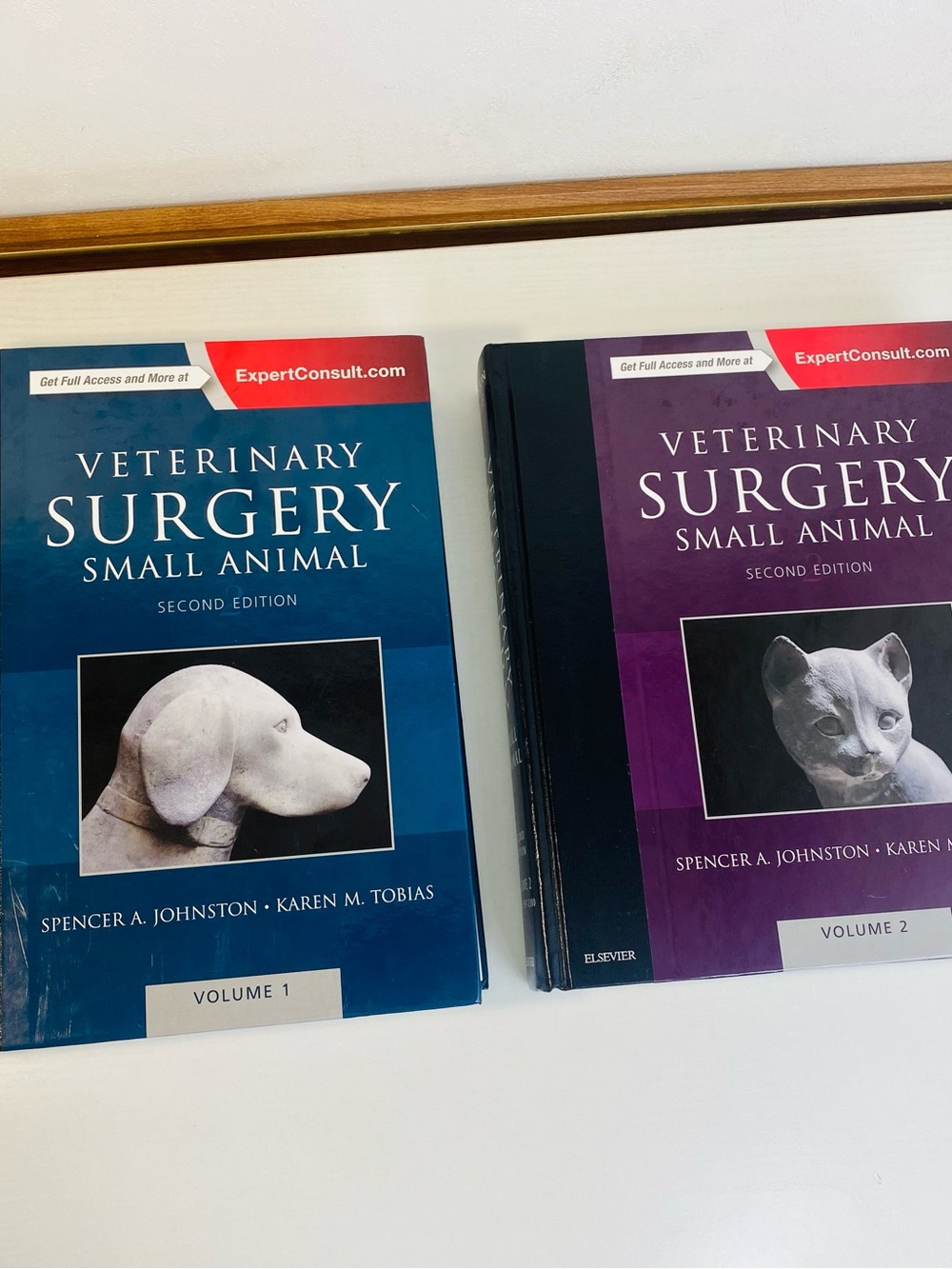 Veterinary Surgery: Small Animal Expert Consult: 2-Volume Set